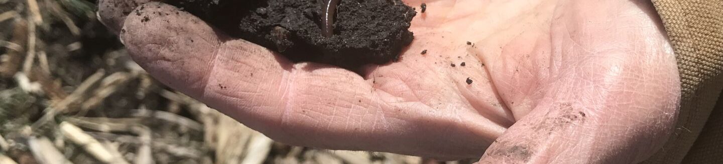 Soil in hand (Journal photo)