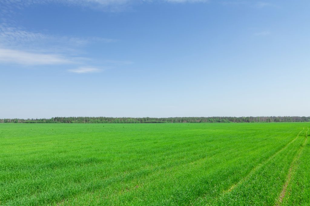 Extension guide explains verbal farm leases