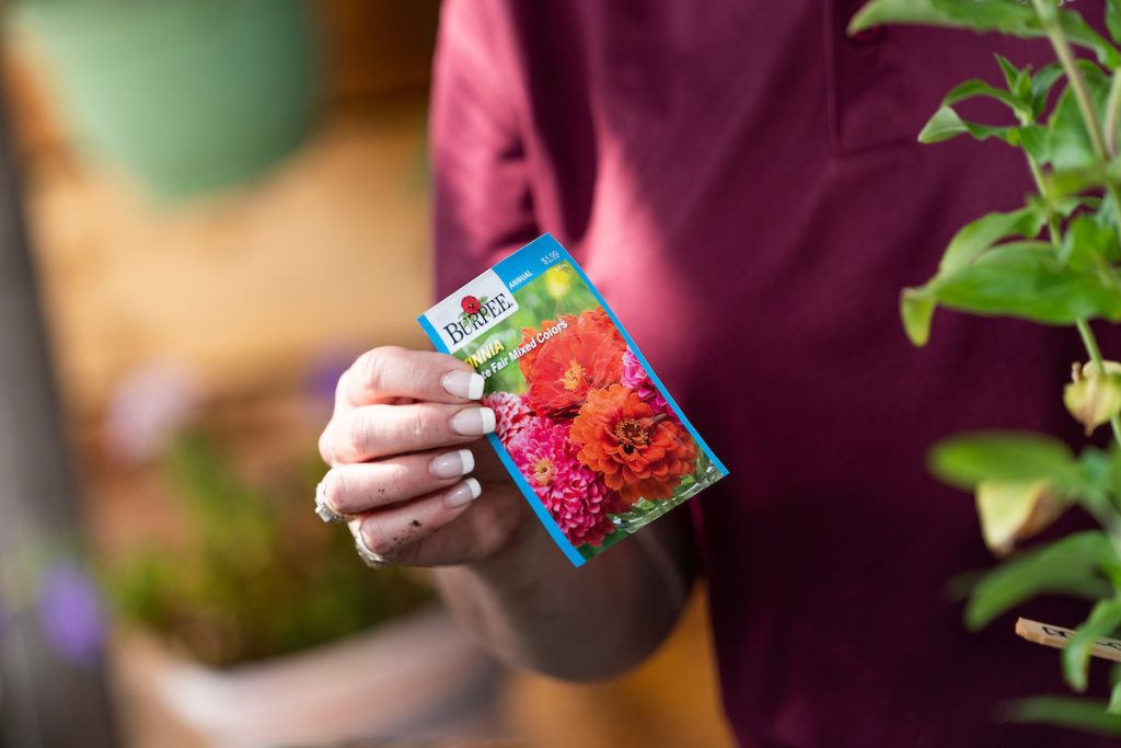 Gardeners should order seeds for their spring gardens soon to ensure the best selection. (Texas A&M AgriLife photo by Laura McKenzie)