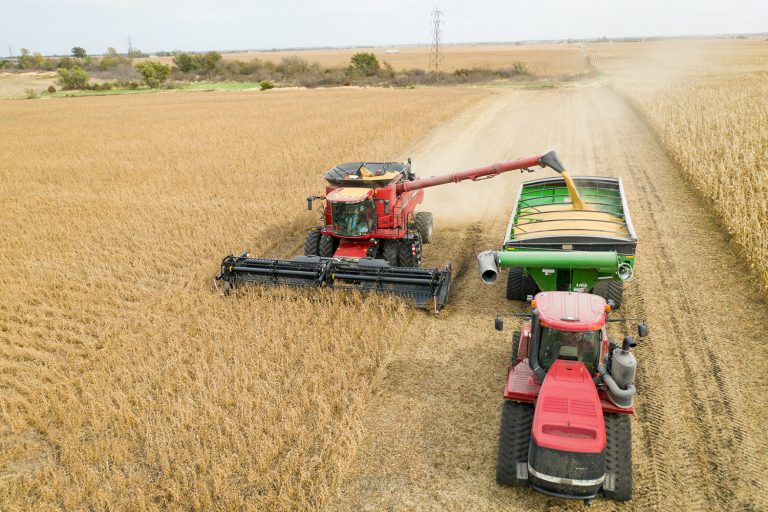 Kansas soybean harvest (Courtesy photo)
