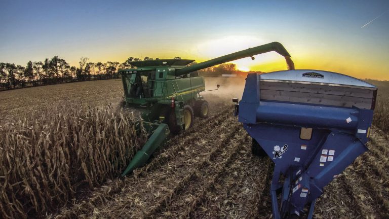 Corn harvest (Photo: Keith Werner - Wanatah, Indiana)