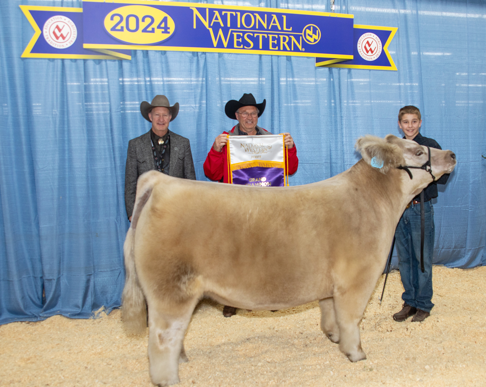 2024 Grand Champion Steer: Exhibited by Croix Reimann, sold for $185,000 to Ames Construction Company. (Photo courtesy of National Western Stock Show.)