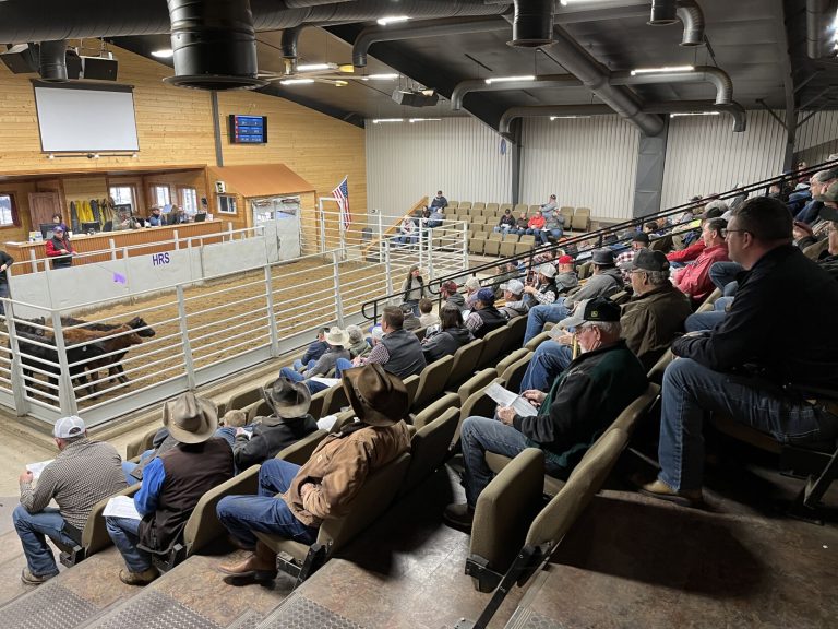 (Photo courtesy of Kansas FFA Foundation.)