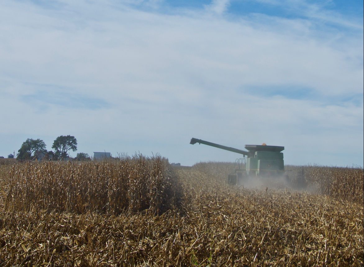 Corn is harvested in northern Dallas County, Iowa, the end of October. As harvest winds up, farmers think about planning for the next crop. (Journal photo by Jennifer Carrico.)