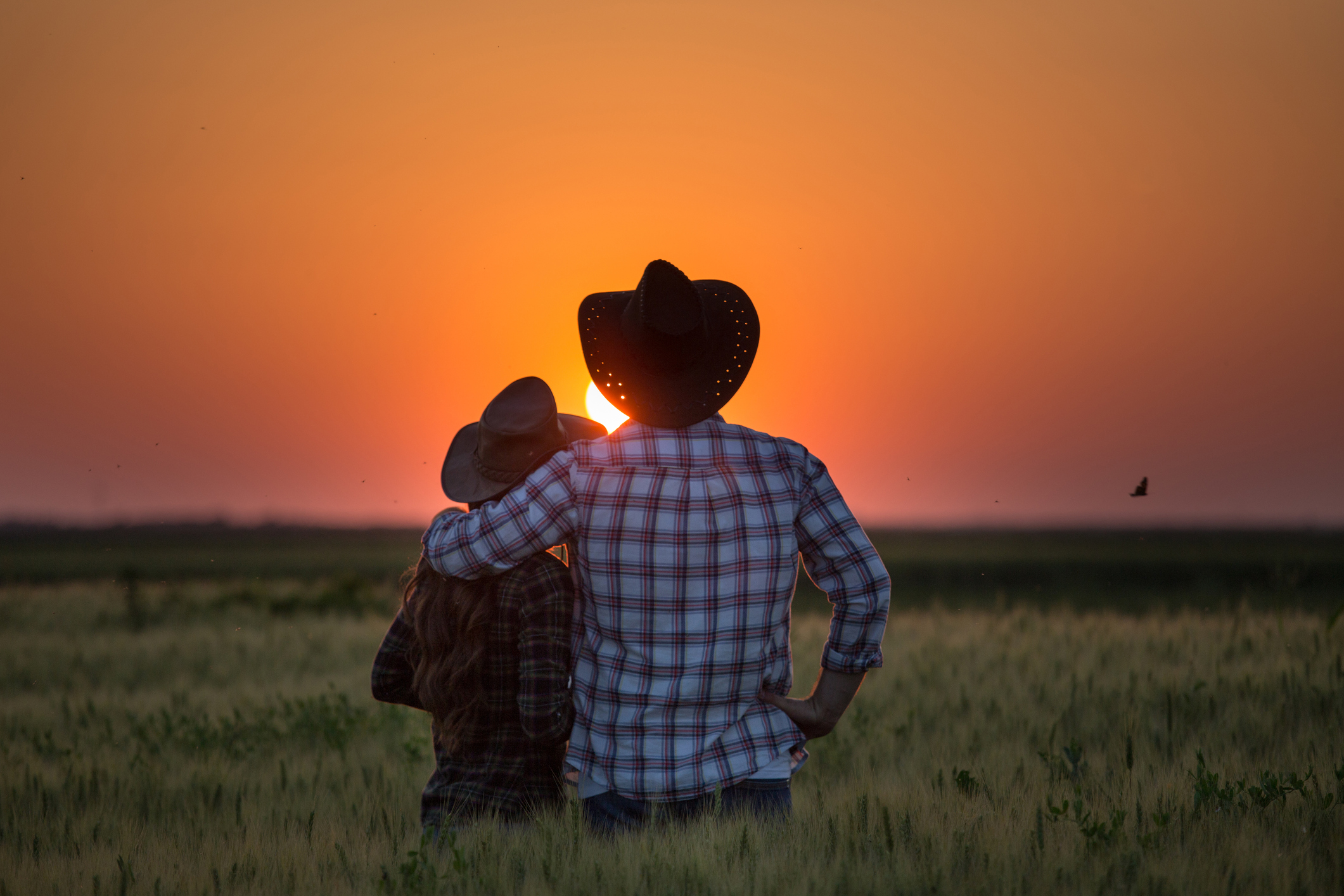 Young farmer couple with hats standing in wheat field at sunset (Photo: iStock - Jevtic)
