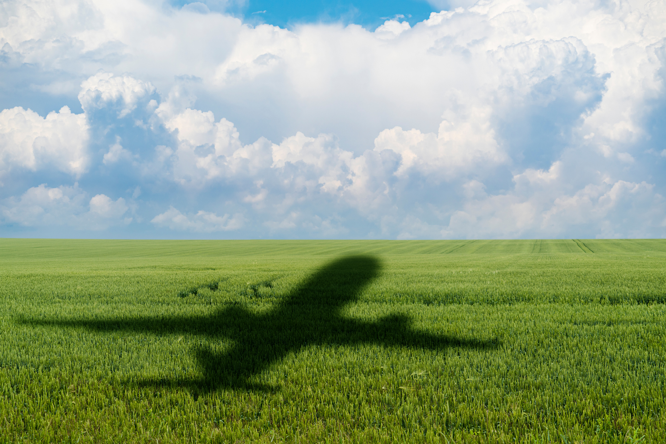 Shadow of the plane on the agricultural field. (Photo: iStock - Scharfsinn86)