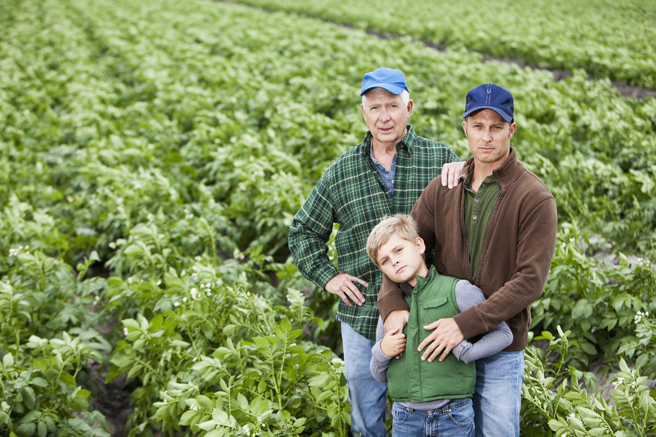 Portrait of three generations of men working on the family farm. The senior man, his adult son and grandson are standing together in a lush, green field of rows of potato plants. (Photo: iStock - kali9)