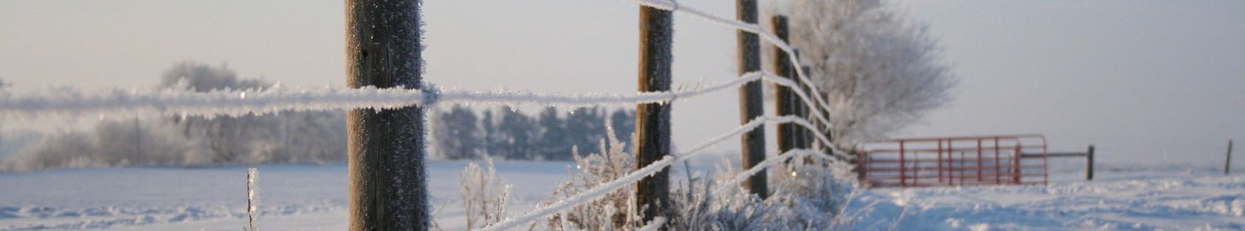 Fence after a Winter storm (Journal photo by Lacey Newlin.)