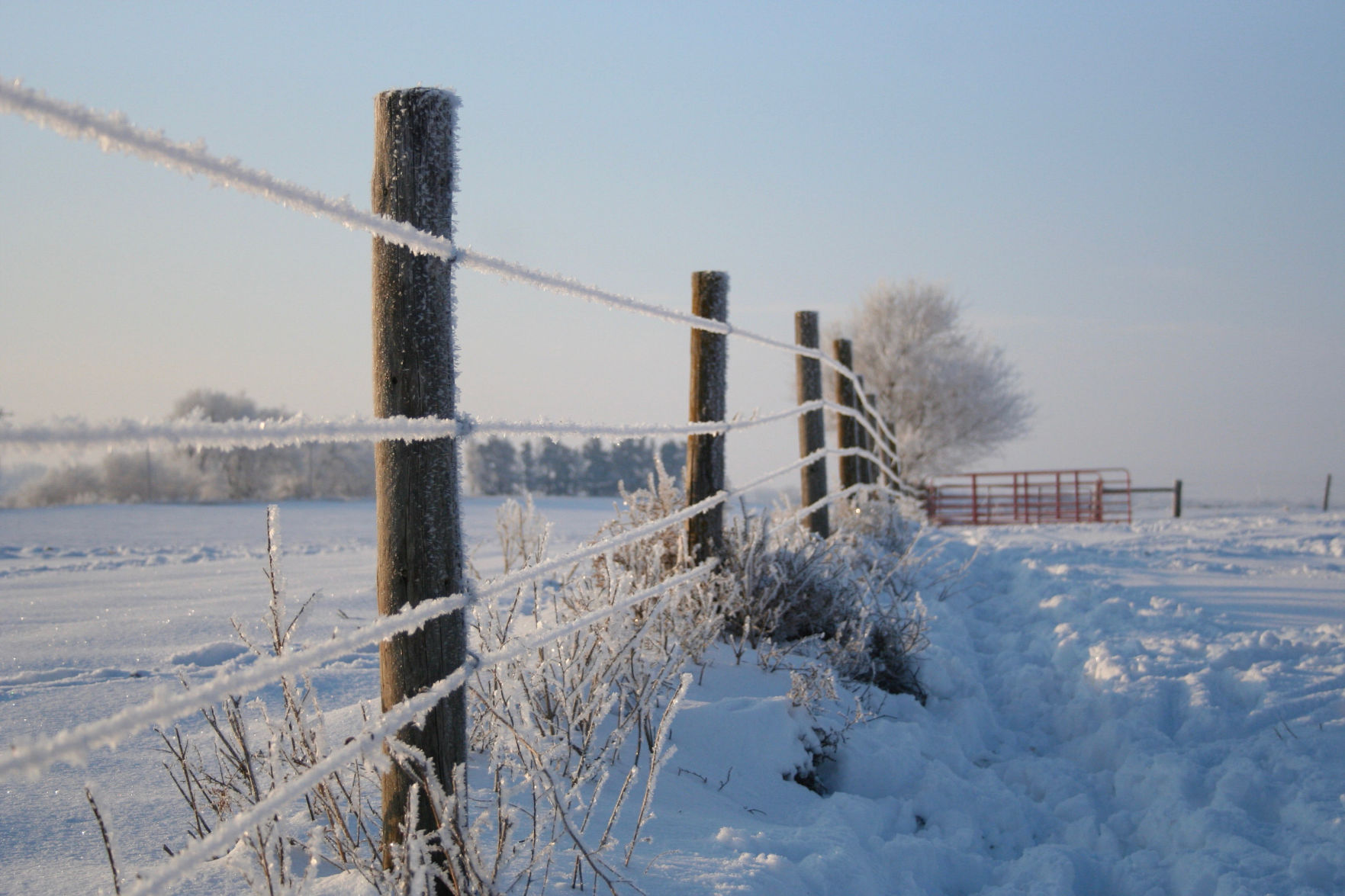 Fence after a Winter storm (Journal photo by Lacey Newlin.)