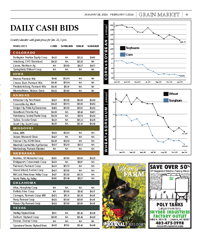 Daily Cash Bids January 26 2024