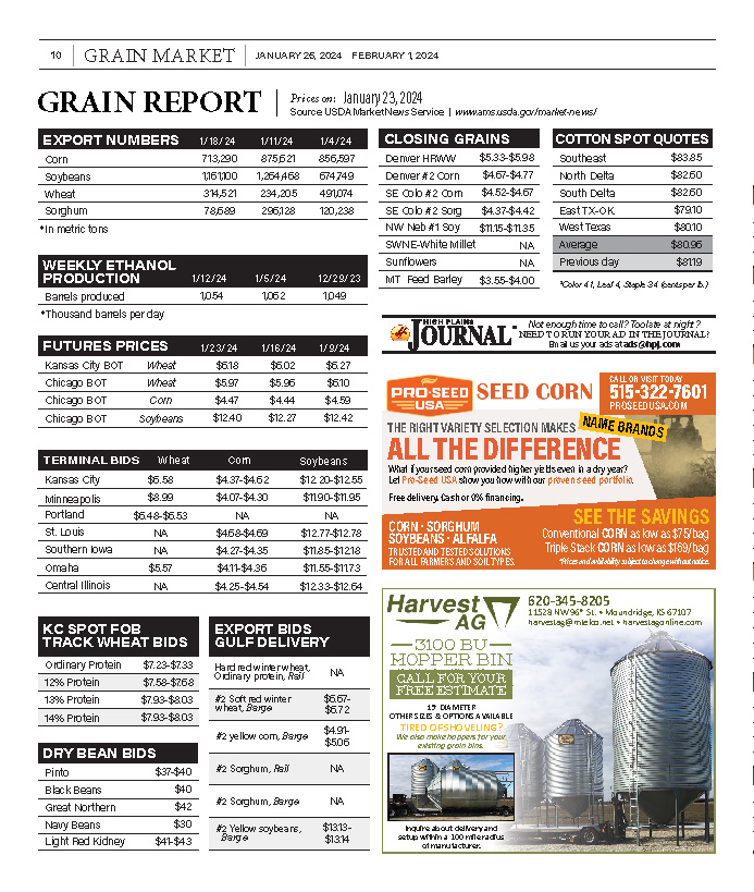 Grain Report January 23 2024