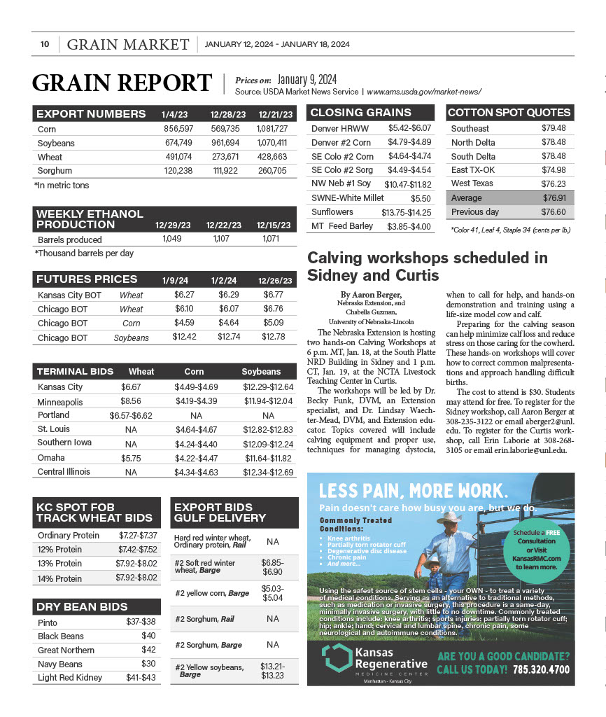 Grain Report January 9 2024