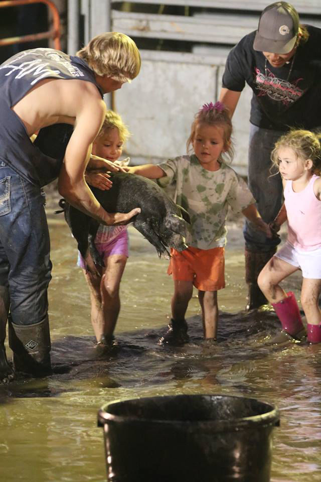 Kids participate in the annual pig-catching contest at the Harvest Festival in Sedgwick County, Colorado. The Sedgwick County Colorado FFA chapter cares for the pigs before and after the contest. The group was one of the 2016 recipients of a grant from Colorado Corn Administrative Committee as part of its Colorado Corn FFA Grant Program, and used the funds to build their own facilities to care for the animals. (Courtesy photo.)