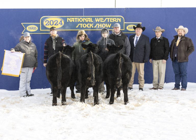 Bar S Ranch Inc., Paradise, Kansas, won reserve grand champion pen of three heifers at the 2024 National Western Stock Show's Angus Pen and Carload Show, Jan. 13, in Denver, Colorado. The April 2023 heifers posted an average weight of 870 pounds and are sired by Sitz Barricade 632F. The trio earlier won late calf champion. Adam Sawyer, Bassett, Nebraska; Doug Stevenson, Laurel, Montana; and John Toledo, Visalia, Calififornia, evaluated the two carloads and 22 pens. (Photo courtesy of Legacy Livestock Imaging.)