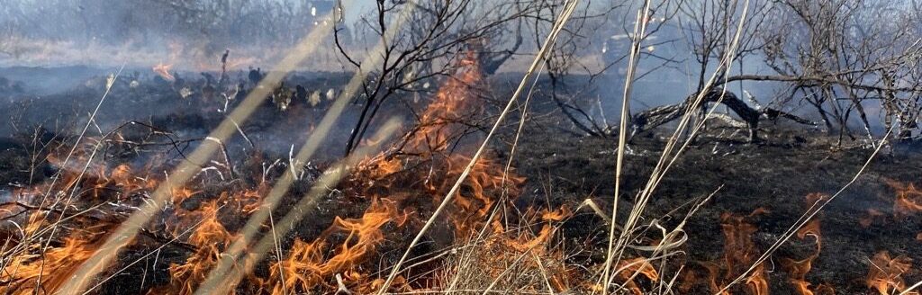 Texas wildfire (Texas A&M Forest Service photo.)