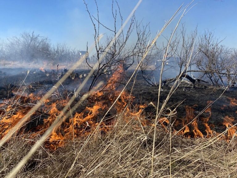 Texas wildfire (Texas A&M Forest Service photo.)
