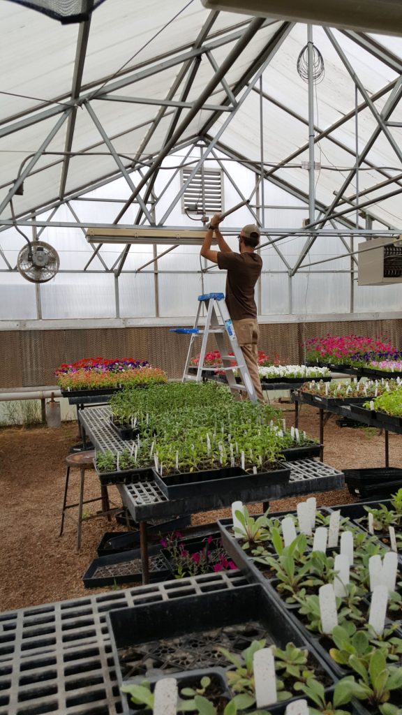 A student works to maintain the automated watering system in the green house. Through a 2016 grant from the Colorado Corn Administrative Committee as part of the Colorado Corn FFA Grant program, the chapter was able to add an automated watering system to the greenhouse to teach students water conservation and new efficient applications. (Courtesy photo.)