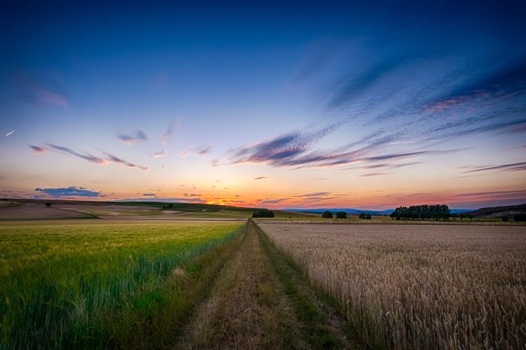 Country Sunset