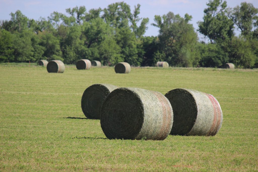 Area Hay Prices May 25, 2024 High Plains Journal