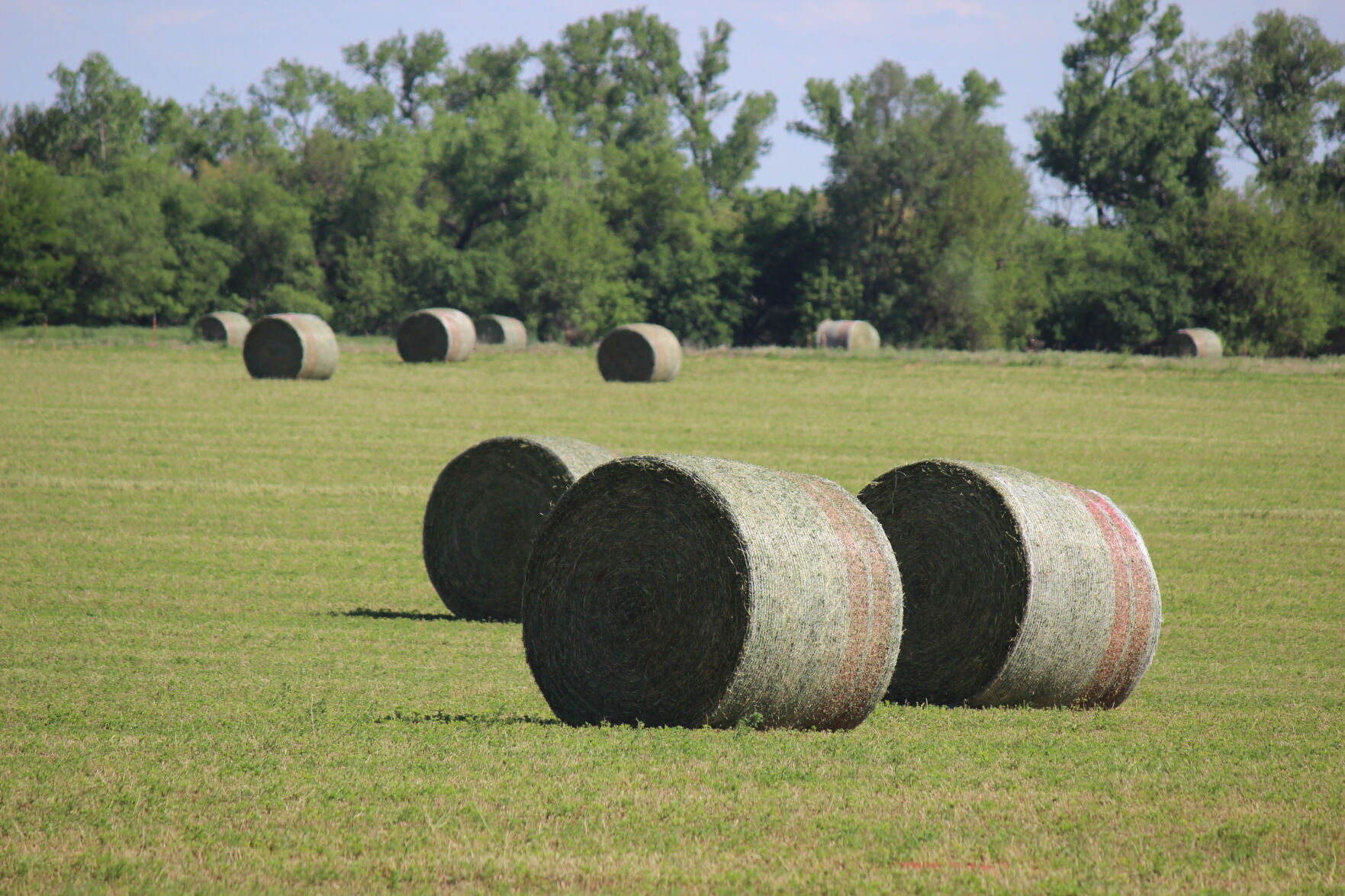 Hay bales (Journal photo by Lacey Newlin)