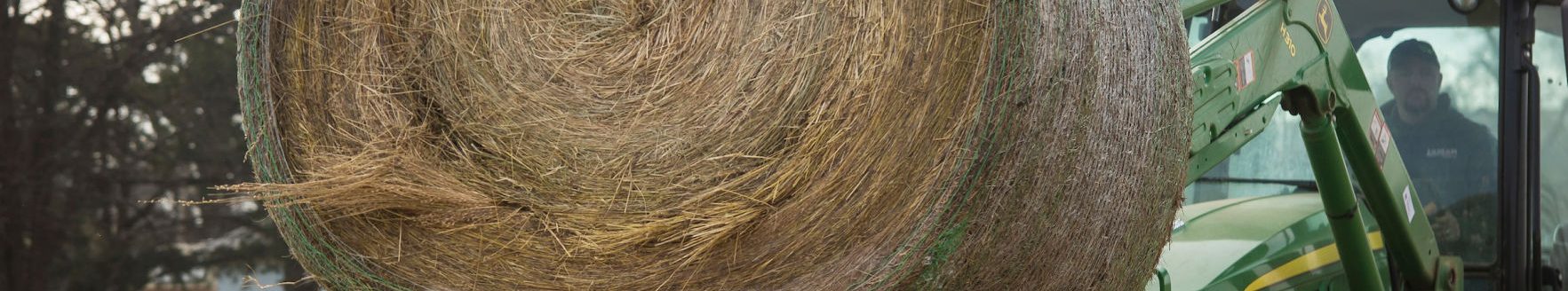 Hay is one of a number of items needed by producer-victims of recent wildfires. (Photo: Todd Johnson)