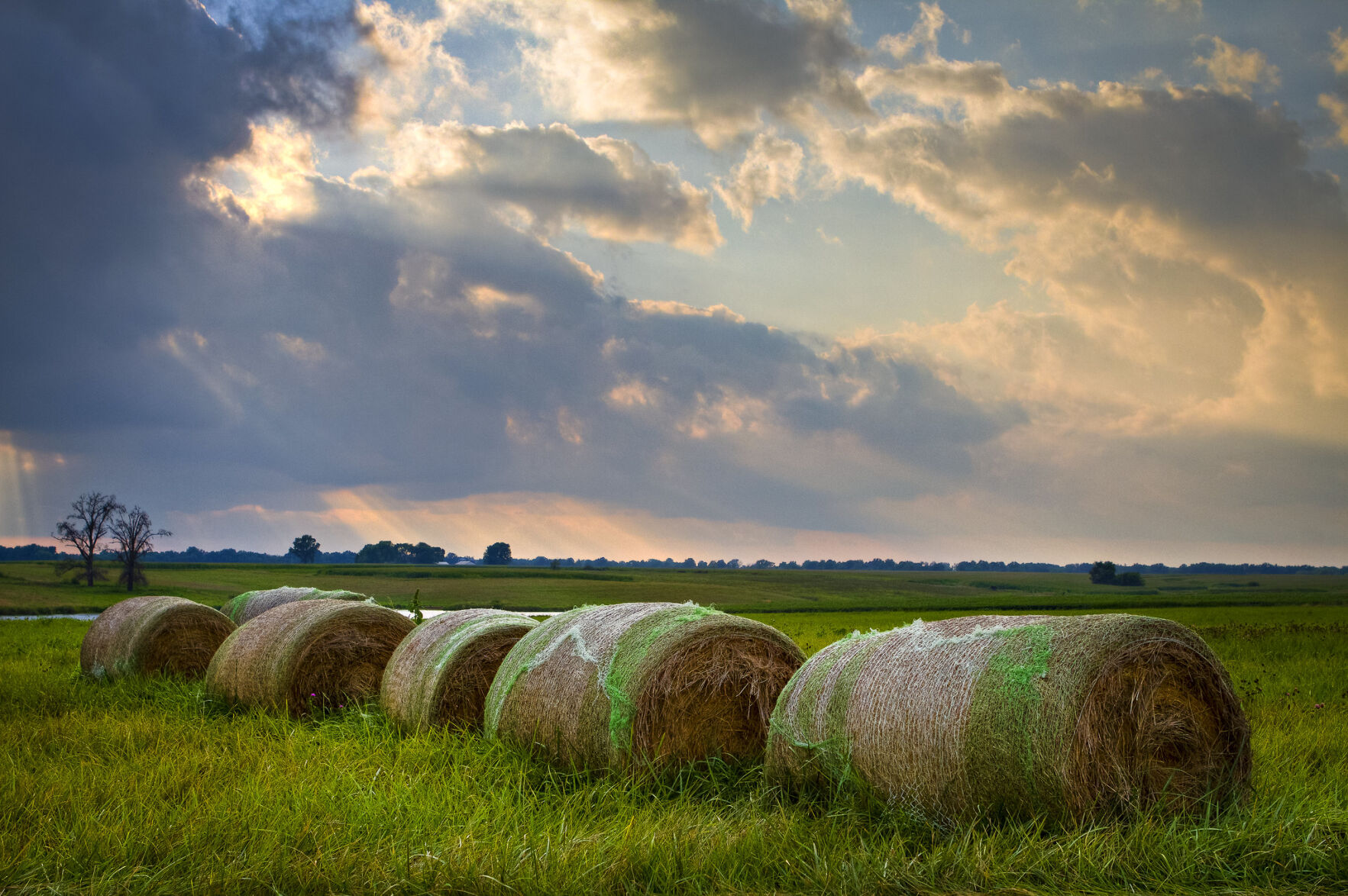 Producers can reduce hay loss with proper storage, says University of Missouri Extension specialist Charles Ellis. (Photo courtesy of Kyle Spradley, MU College of Agriculture, Food and Natural Resources.)