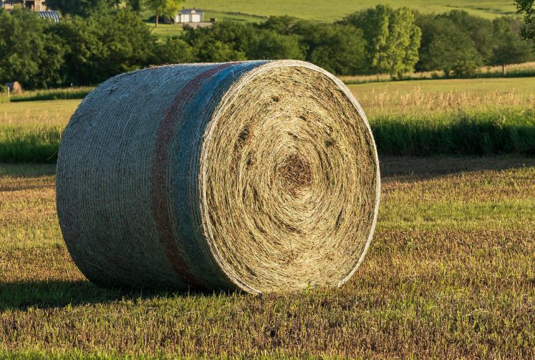 Information gathered from testing hay helps producers plan their supplementation strategy for the cattle cycle.(Courtesy photo.)