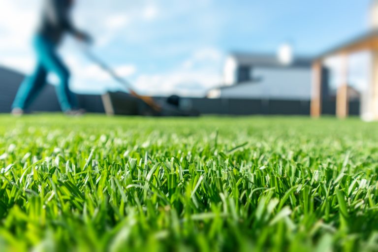 Spring season sunny lawn mowing in the garden. (Photo: iStock - Sachko)