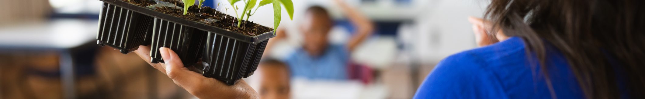 Teacher holding plant seedlings while teaching in the class at elementary school. school and education concept. (Photo: iStock - Wavebreakmedia)