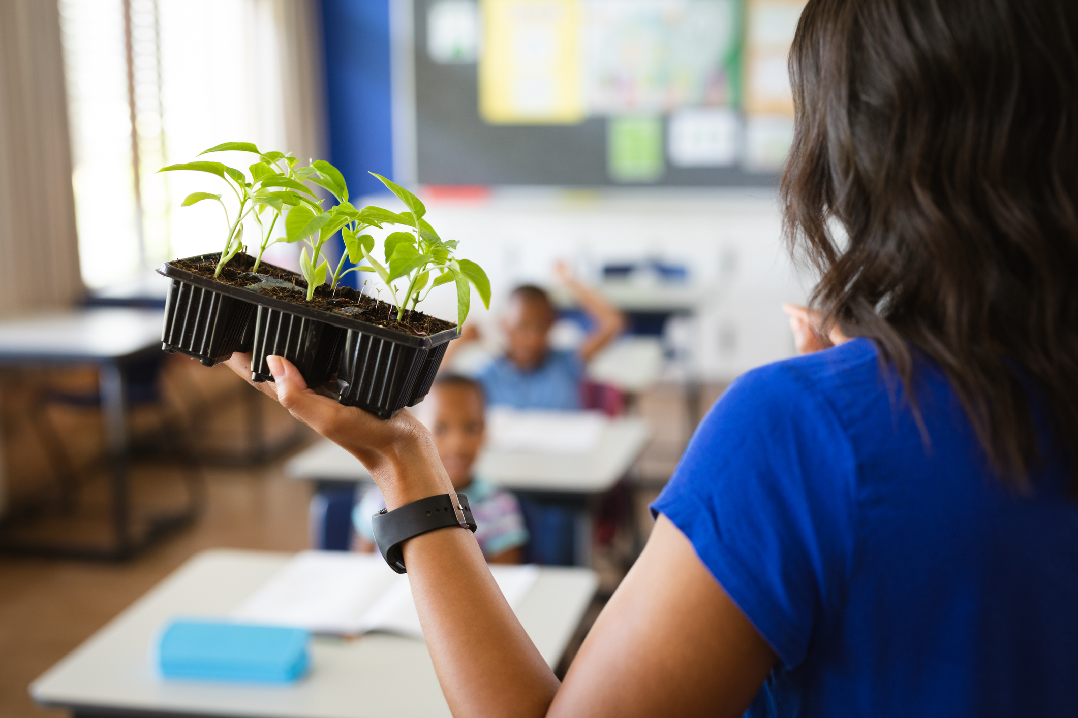 Teacher holding plant seedlings while teaching in the class at elementary school. school and education concept. (Photo: iStock - Wavebreakmedia)
