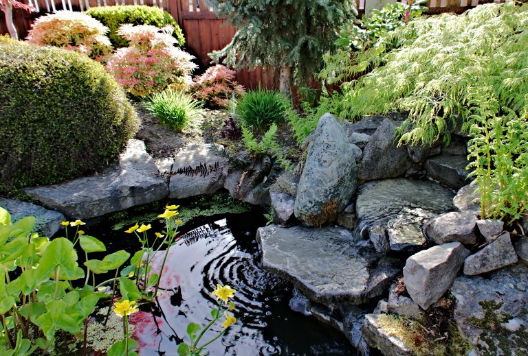 A directly above view of a small garden pond attached to a waterfall form part of this water feature in this formal garden surrounded by slabs of sandstone and lush foliage of bushes and trees. (Photo: iStock - Elmar Langle)