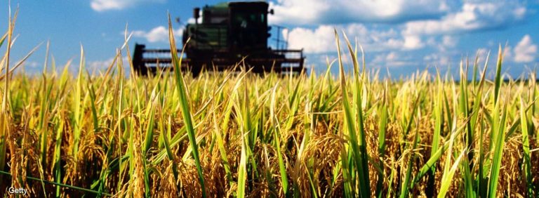 Photo courtesy of U.S. Department of Agriculture.
