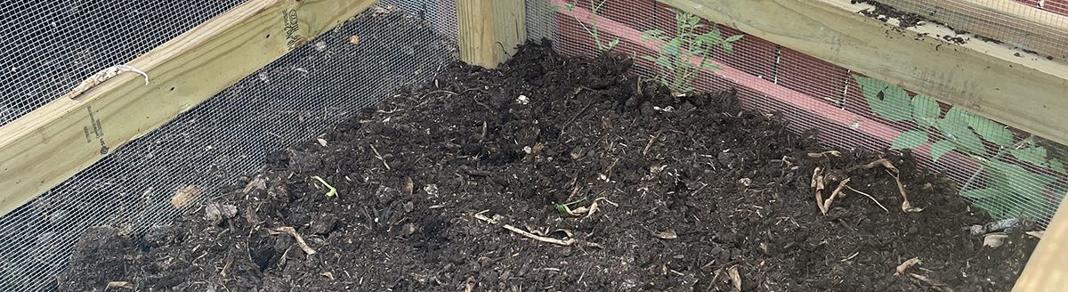 To revive a compost pile or bin like the ones pictured, begin by assessing a starting point, turning the pile, managing inputs, and setting reminders to put this process on repeat. (Photos: Gemini Bhalsod, Illinois Extension)