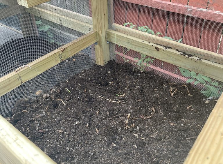 To revive a compost pile or bin like the ones pictured, begin by assessing a starting point, turning the pile, managing inputs, and setting reminders to put this process on repeat. (Photos: Gemini Bhalsod, Illinois Extension)
