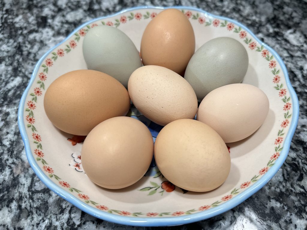 Maintaining cleanliness with chickens and eggs