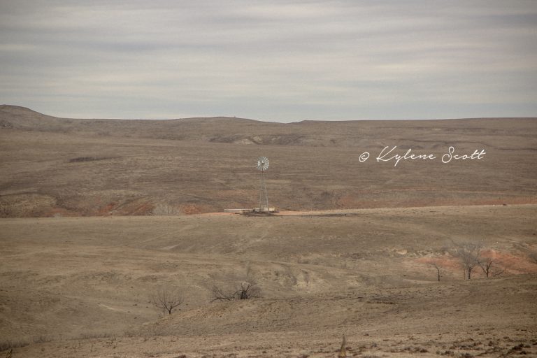 There was not much left on the landscape after the 2017 Starbuck fire in Clark County, Kansas. (Journal photo by Kylene Scott.)