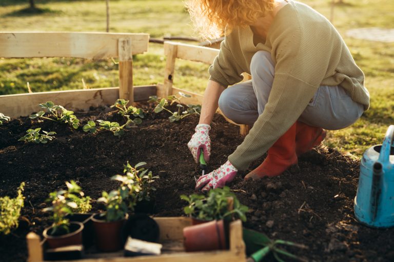 Woman feeling relaxed gardening in her garden (Photo: iStock │ #1445716627 - Dejan_Dundjerski)