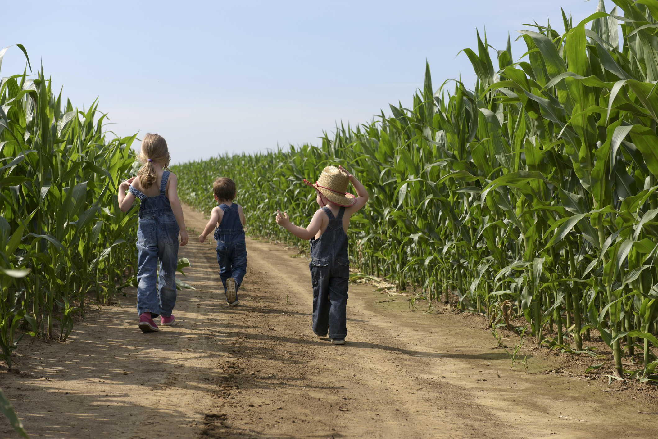 Siblings walking in the fields (Photo: iStock - Dave Bergmeier)