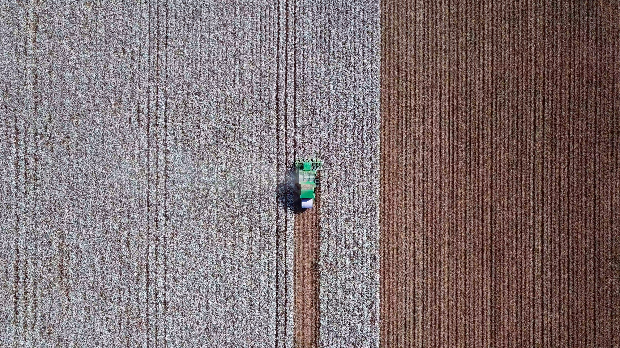 Aerial view of a Large green Cotton picker working in a field. (Photo: iStock - liorpt)