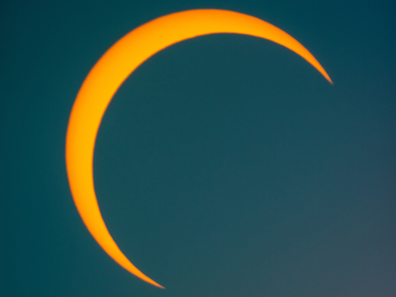 The total solar eclipse is expected to last over 4 minutes as it tracks across the Texas sky on April 8. Not only will the sky darken, but many animals will sense changes in temperature and wind speed. (Photo: Michael Miller/Texas A&M AgriLife)