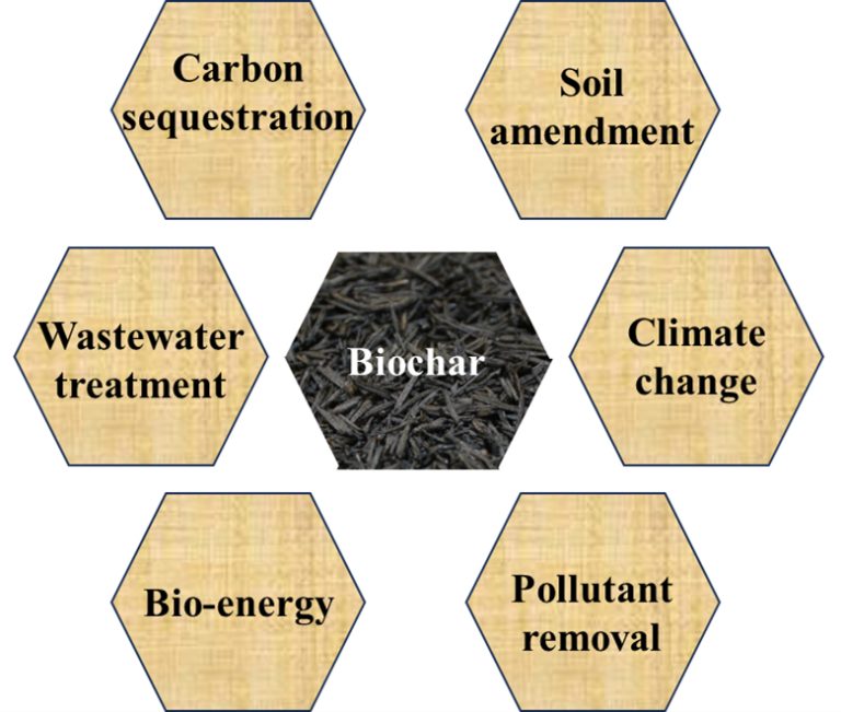 Application of Biochar in Agricultural Systems (Auburn University)