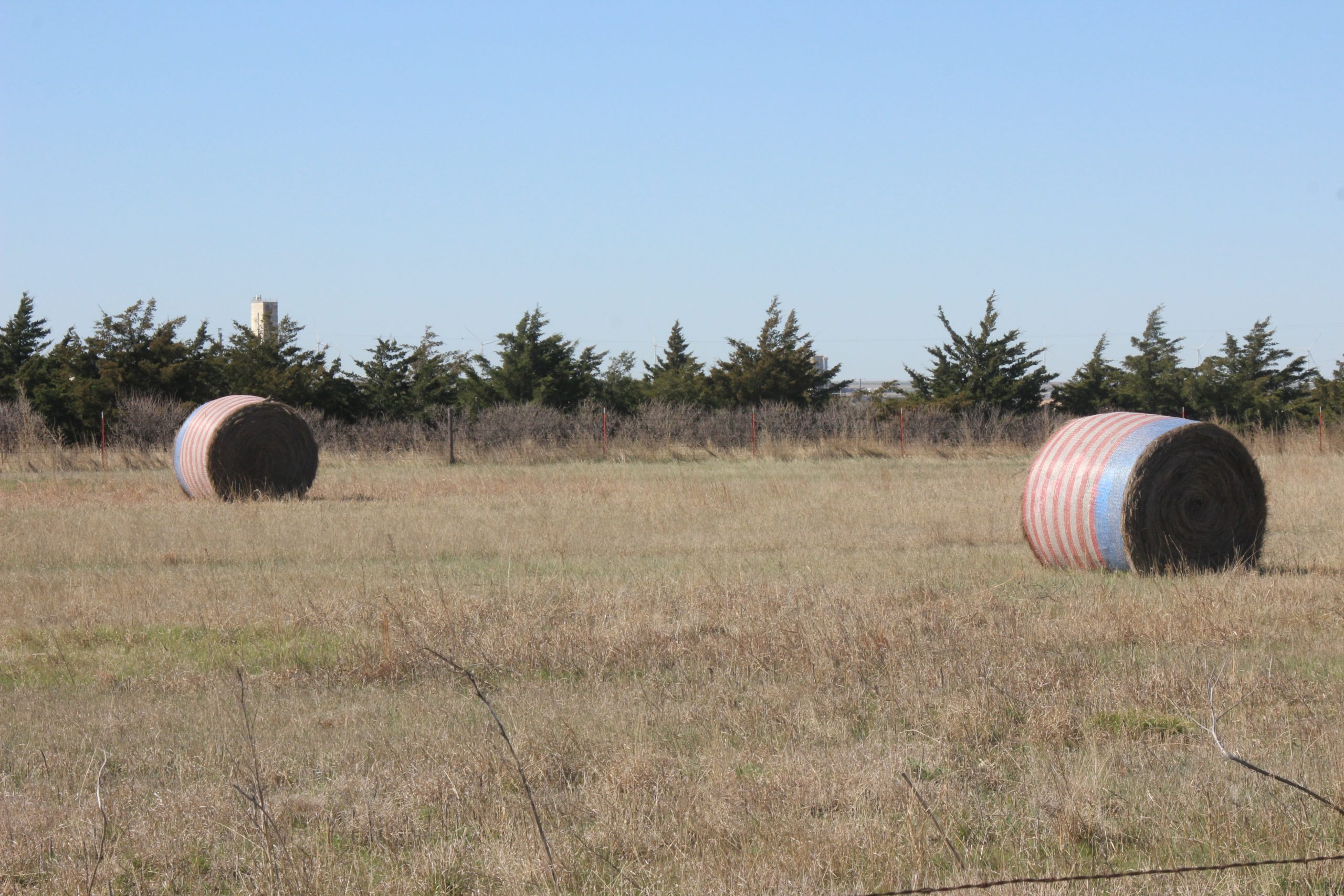 Large round bales in a field near Dodge City, Kansas. (Journal photo by Dave Bergmeier.)