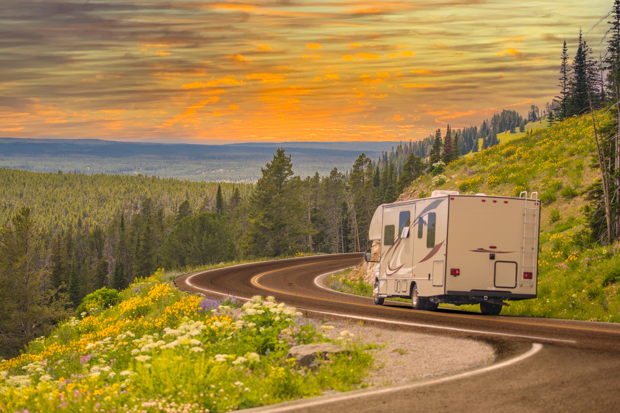 Camper Driving Down Road in The Beautiful Countryside Among Pine Trees and Flowers. (Photo: iStock - Feverpitched)