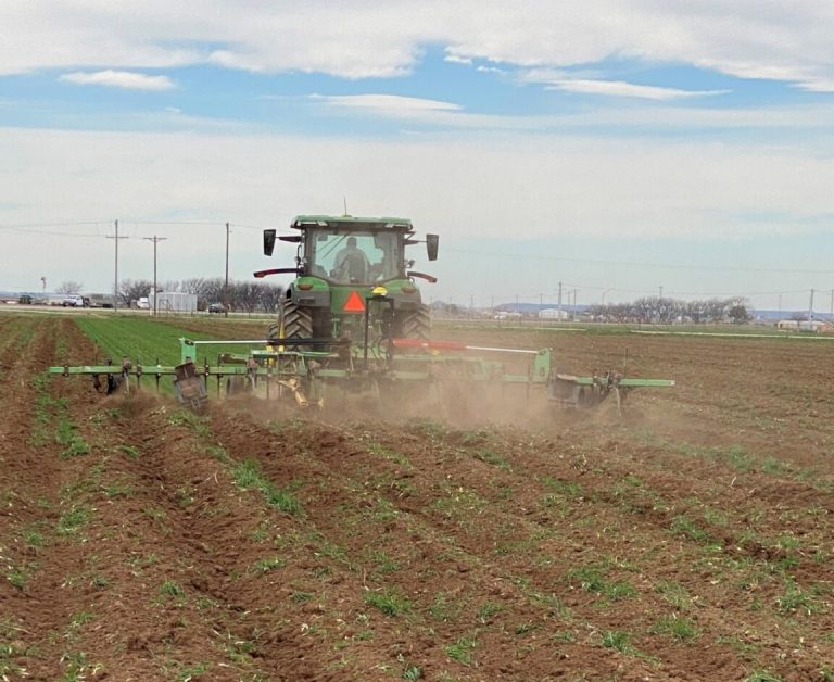 The Southern Rolling Plains Cotton Growers Association is helping prepare the field for planting. (Susan Himes/Texas A&M AgriLife)