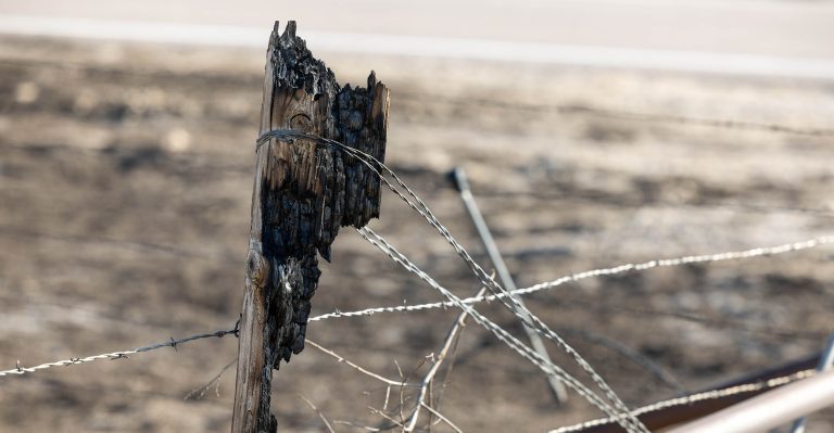 Wildfire recovery and donations in Ellis County on Wednesday, March 6, 2024. (Photo by Mitchell Alcala/OSU Agriculture)