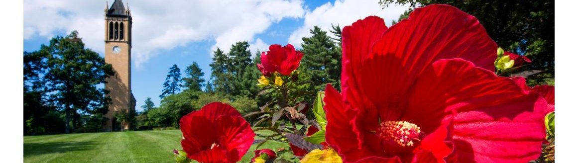 Screenshot of the new Yard and Garden website (Photo: Iowa State University Extension and Outreach)