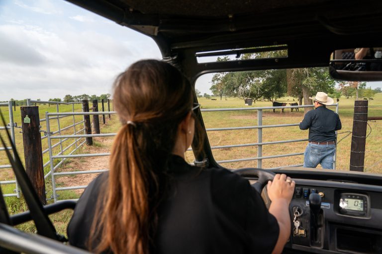 The Generation Next: Our Turn to Ranch 12-week online course is open for registration. The program includes expert instruction related to agricultural business operations and land management. (Courtney Sacco/Texas A&M AgriLife)