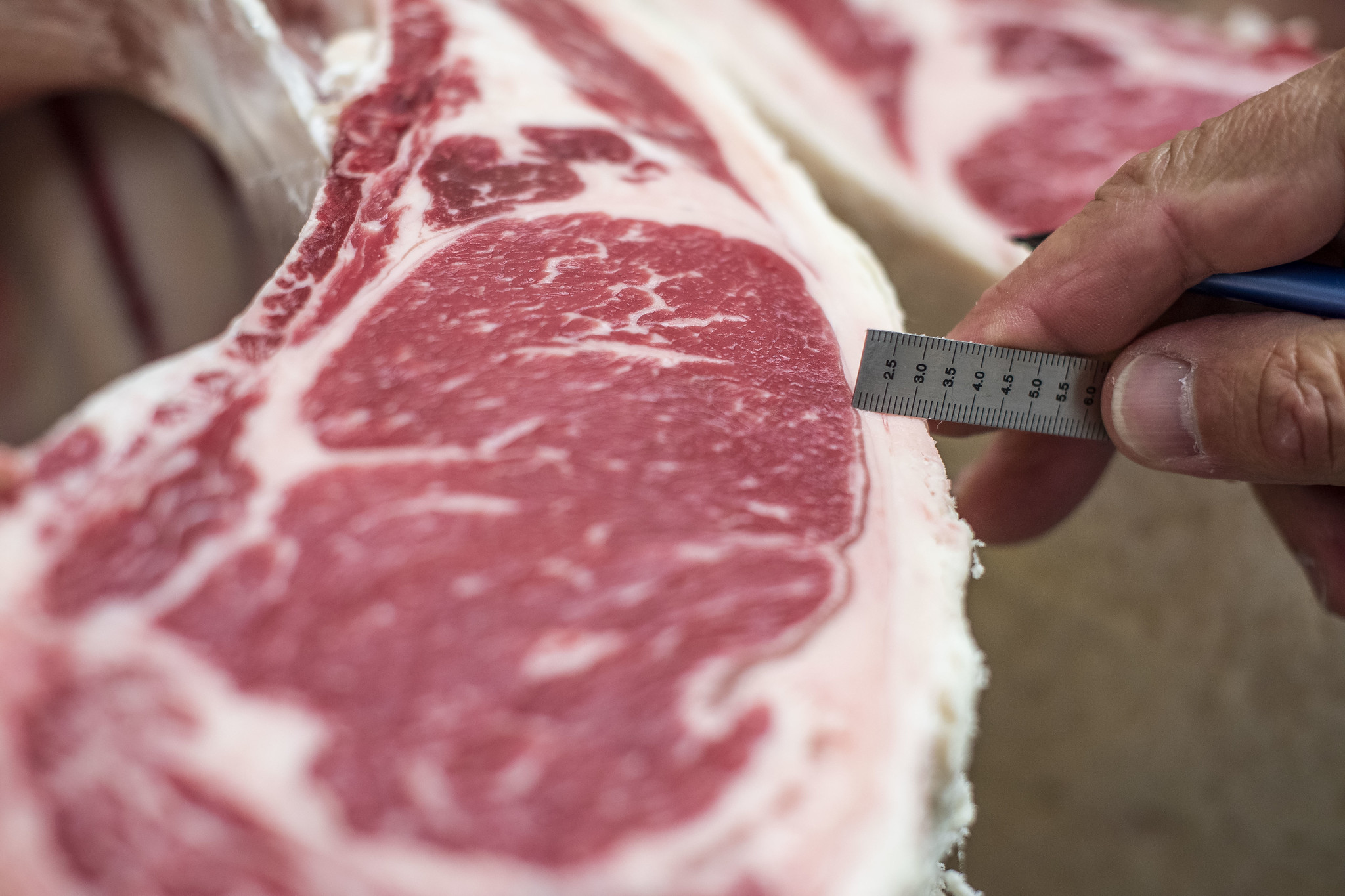 USDA Beef Quality Grades: What do they mean? - High Plains Journal