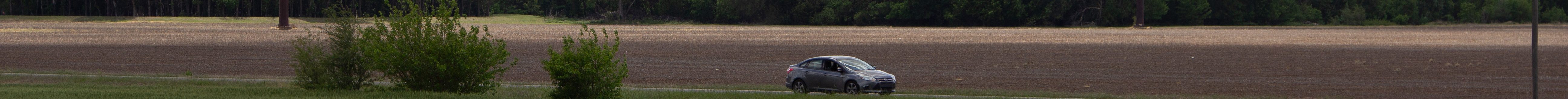 A traveler goes past a wheat field east of Hutchinson, Kansas. (Journal photo by Dave Bergmeier.)