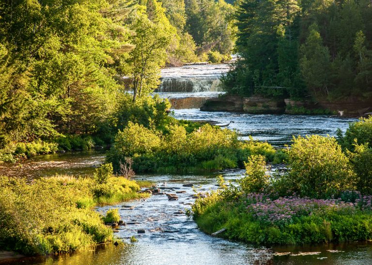 Summer Foilage around Lower Tahquamenon Falls river flow (Photo: iStock - JerryB7)